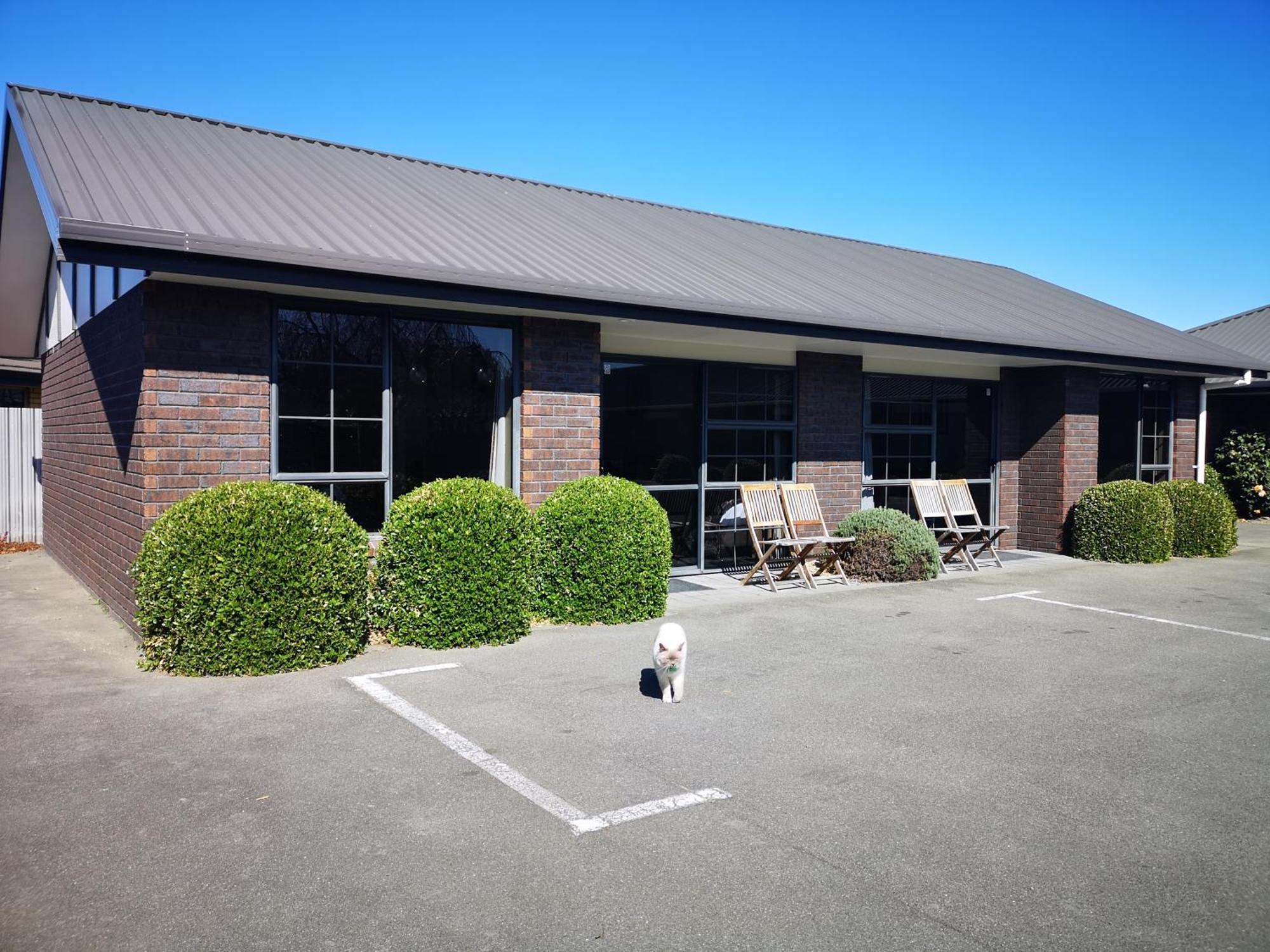 Aston Court Motel Blenheim Eksteriør billede